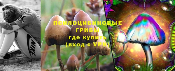 шишки Богданович