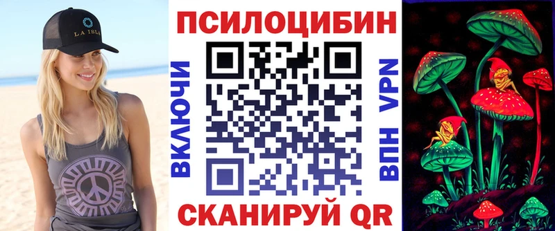 MEGA вход  как найти наркотики  Грязи  Псилоцибиновые грибы Psilocybe 