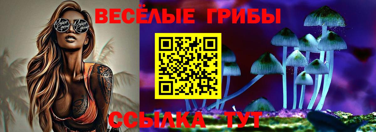 Псилоцибиновые грибы Psilocybe Грязи