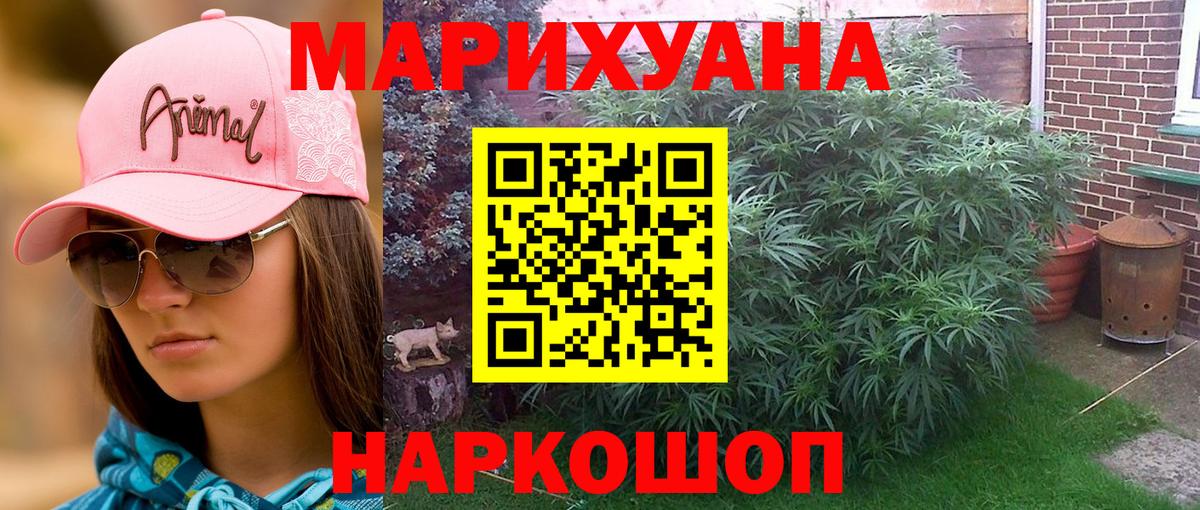 Бошки Шишки индика  Вход с VPN  Грязи  Бошки Шишки AK-47  Марихуана VHQ 